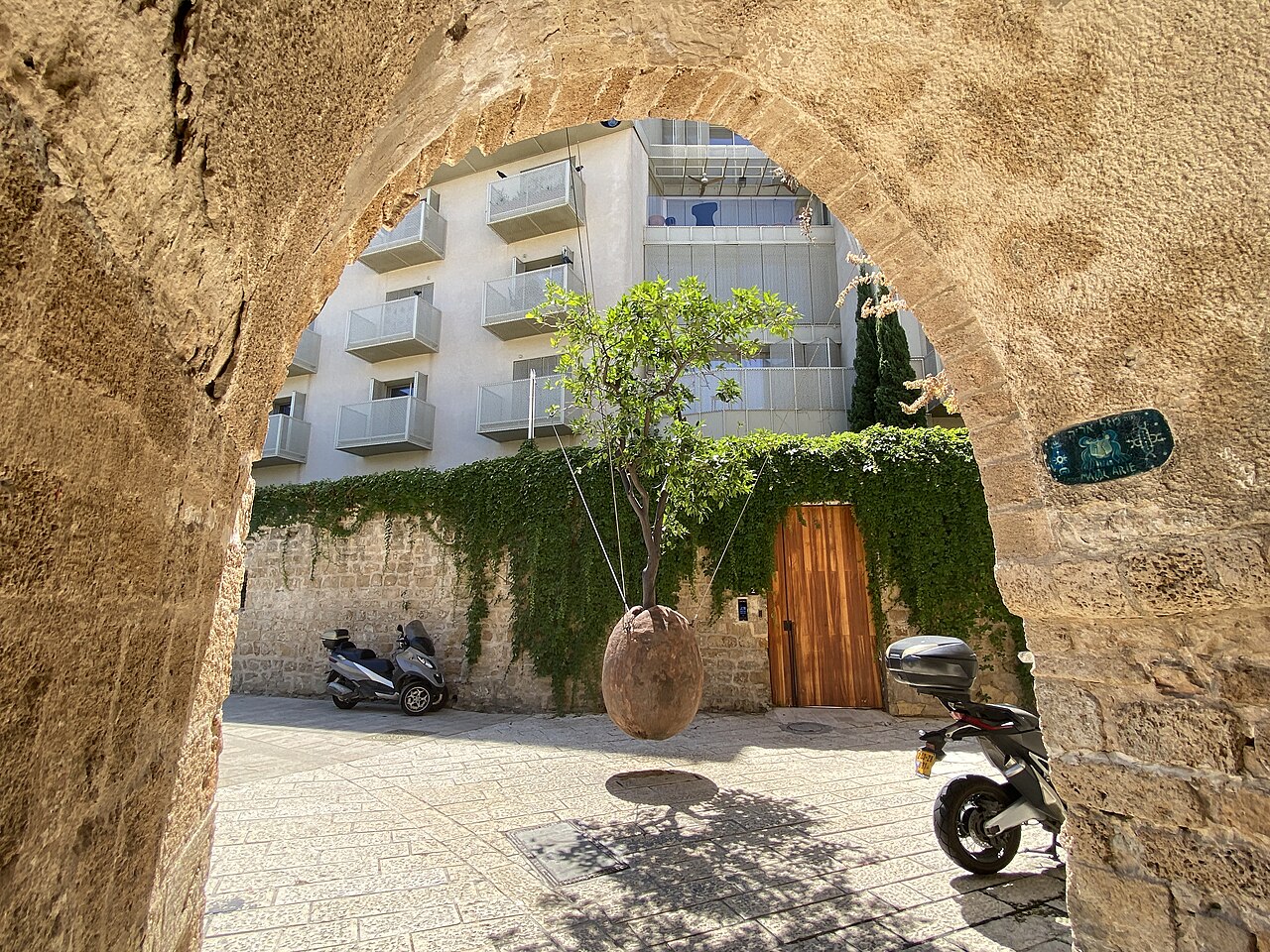 A suspended orange tree framed by a stone arch in Old Jaffa